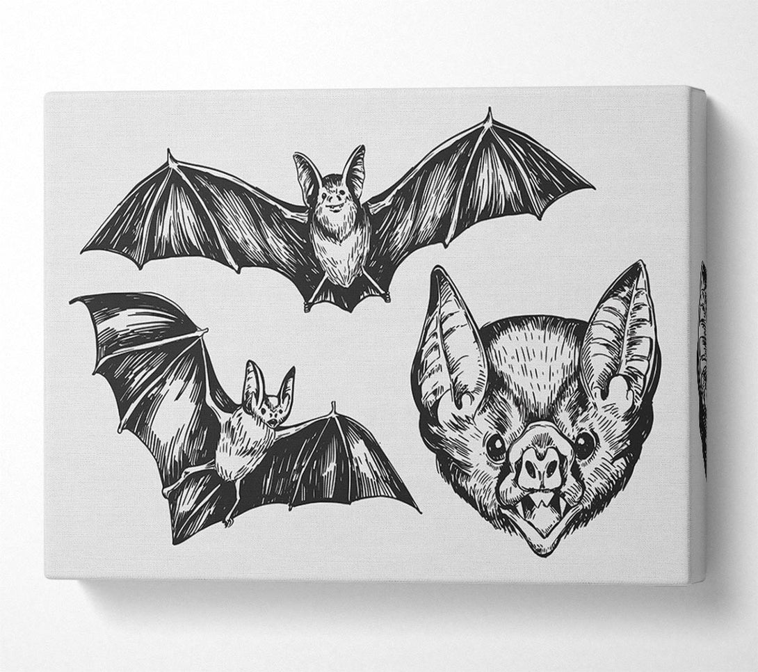  A Canvas Print of The Trio Of Bat Illustrations Canvas Art