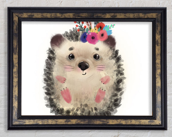 The Curled Up Hedgehog Framed Print