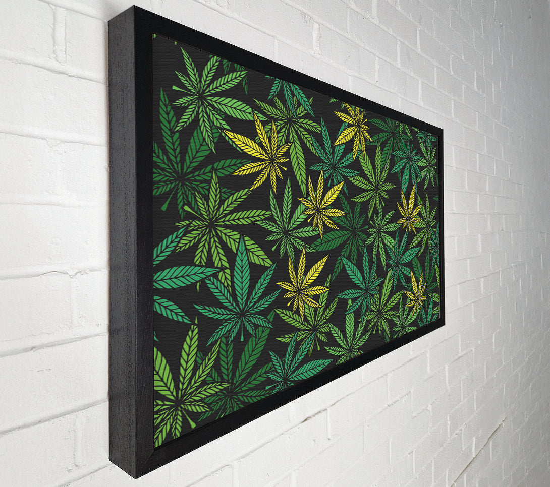  A Canvas Print of Cannabis Leaves Canvas Print