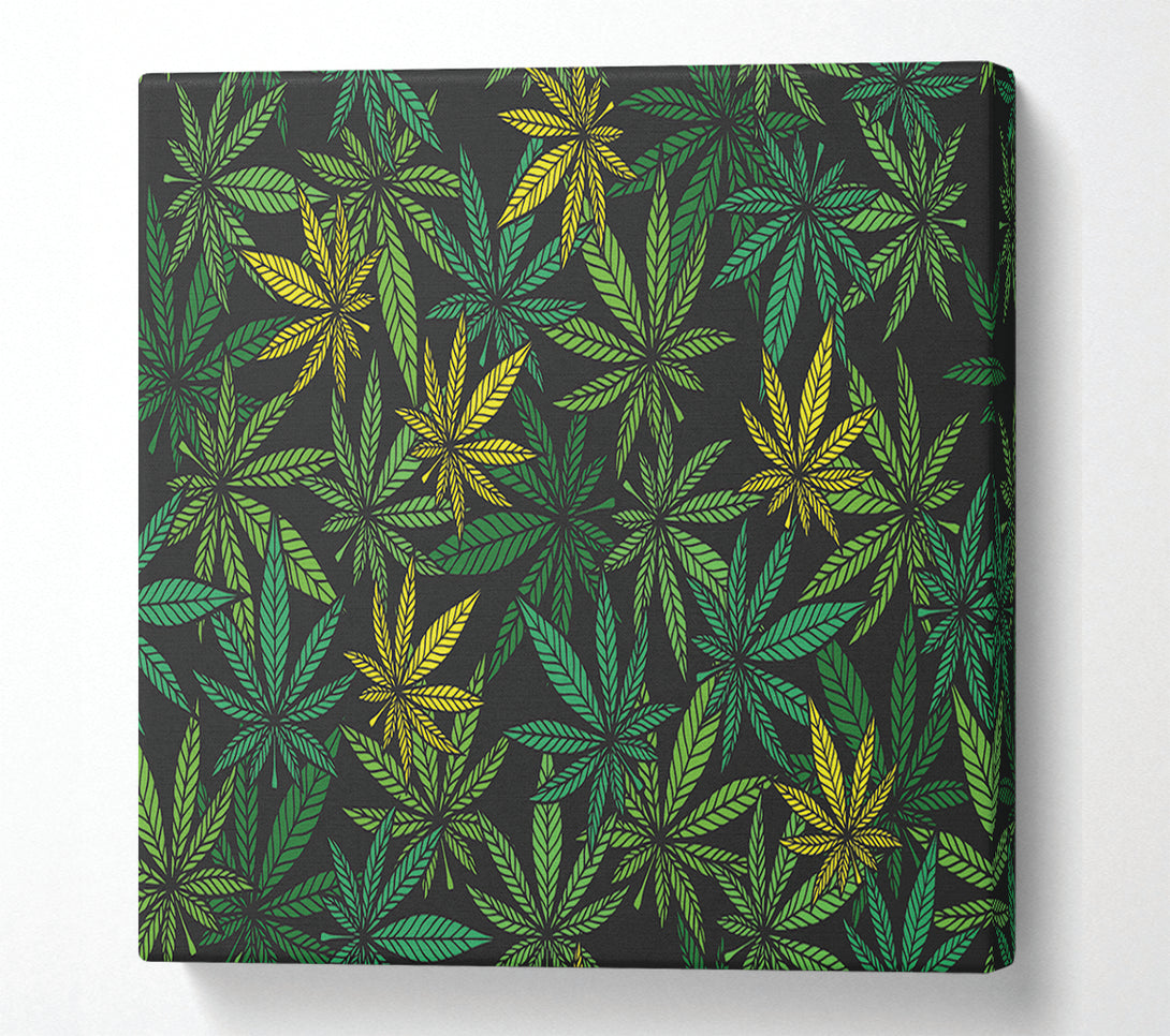  A Canvas Print of Cannabis Leaves Canvas Print