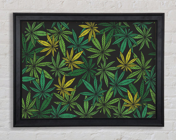 Cannabis Leaves Framed Print