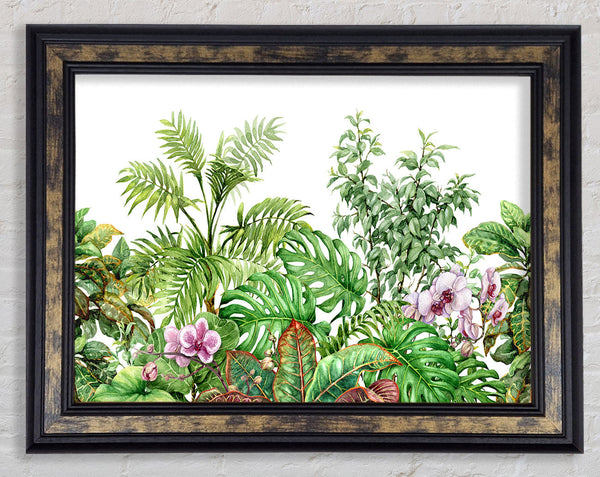 Summer Foliage Framed Print