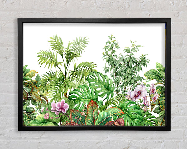 Summer Foliage Framed Print
