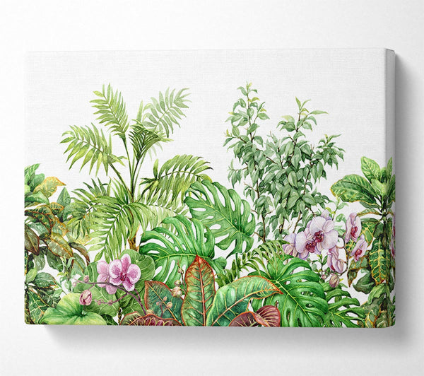  A Canvas Print of Summer Foliage Canvas Wall Art