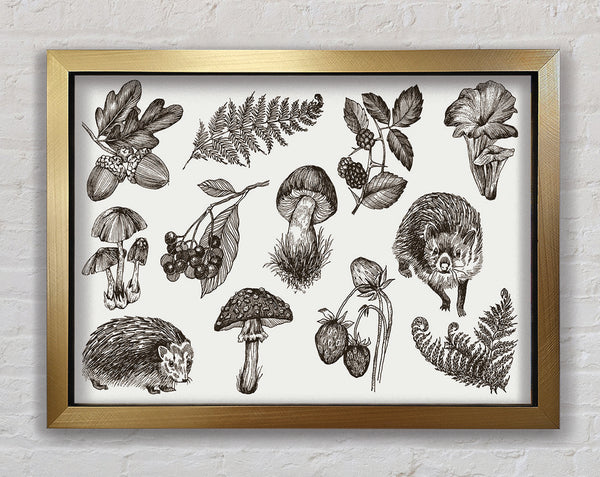 British Flowers And Wildlife Framed Print