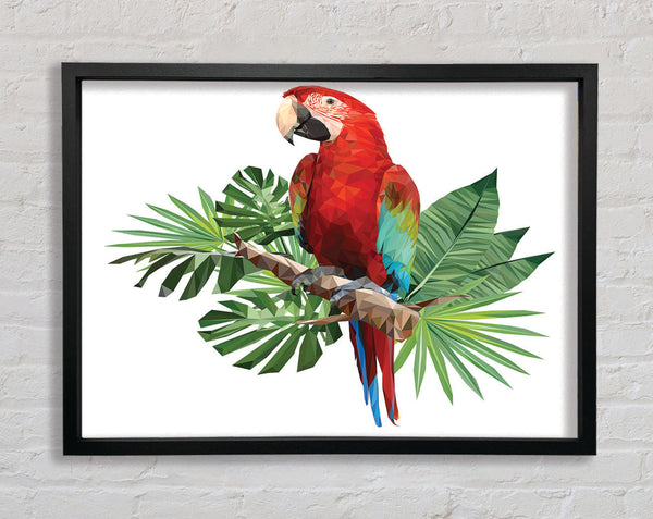 Parrot On A Branch Framed Print