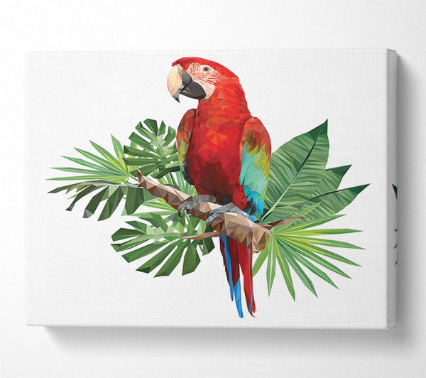  A Canvas Print of Parrot On A Branch Canvas Print