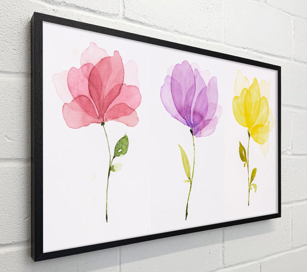 Trio Of Pastel Flowers