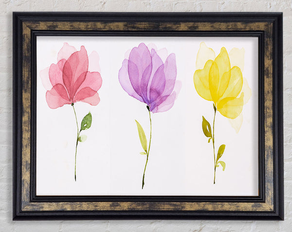 Trio Of Pastel Flowers Framed Print