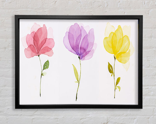Trio Of Pastel Flowers Framed Print