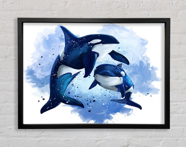 Orca Mother And Baby Framed Print