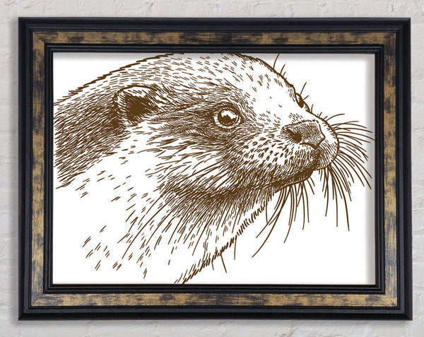 Otter Face Framed Print