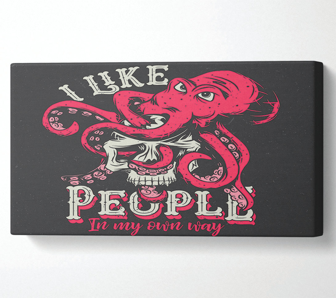 A Canvas Print of I Like People In My Own Way Canvas Wall Art