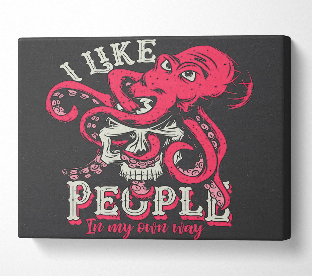  A Canvas Print of I Like People In My Own Way Canvas Wall Art
