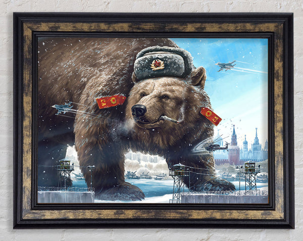 Russian Brown Bear Framed Print