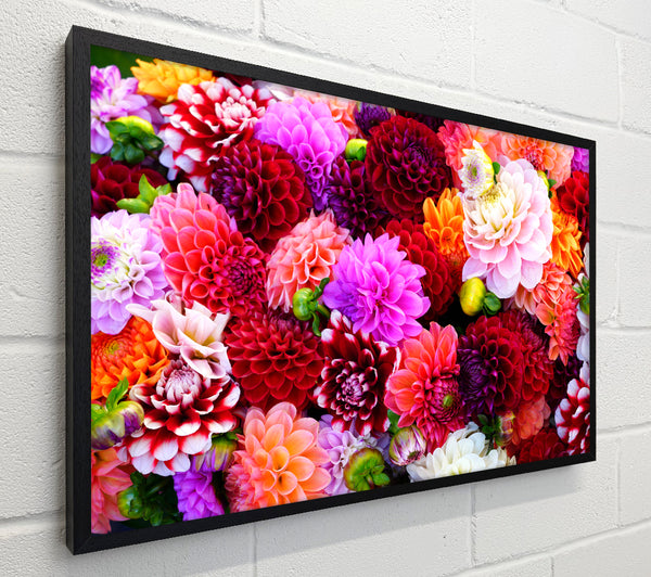 Huge Flower Explosion