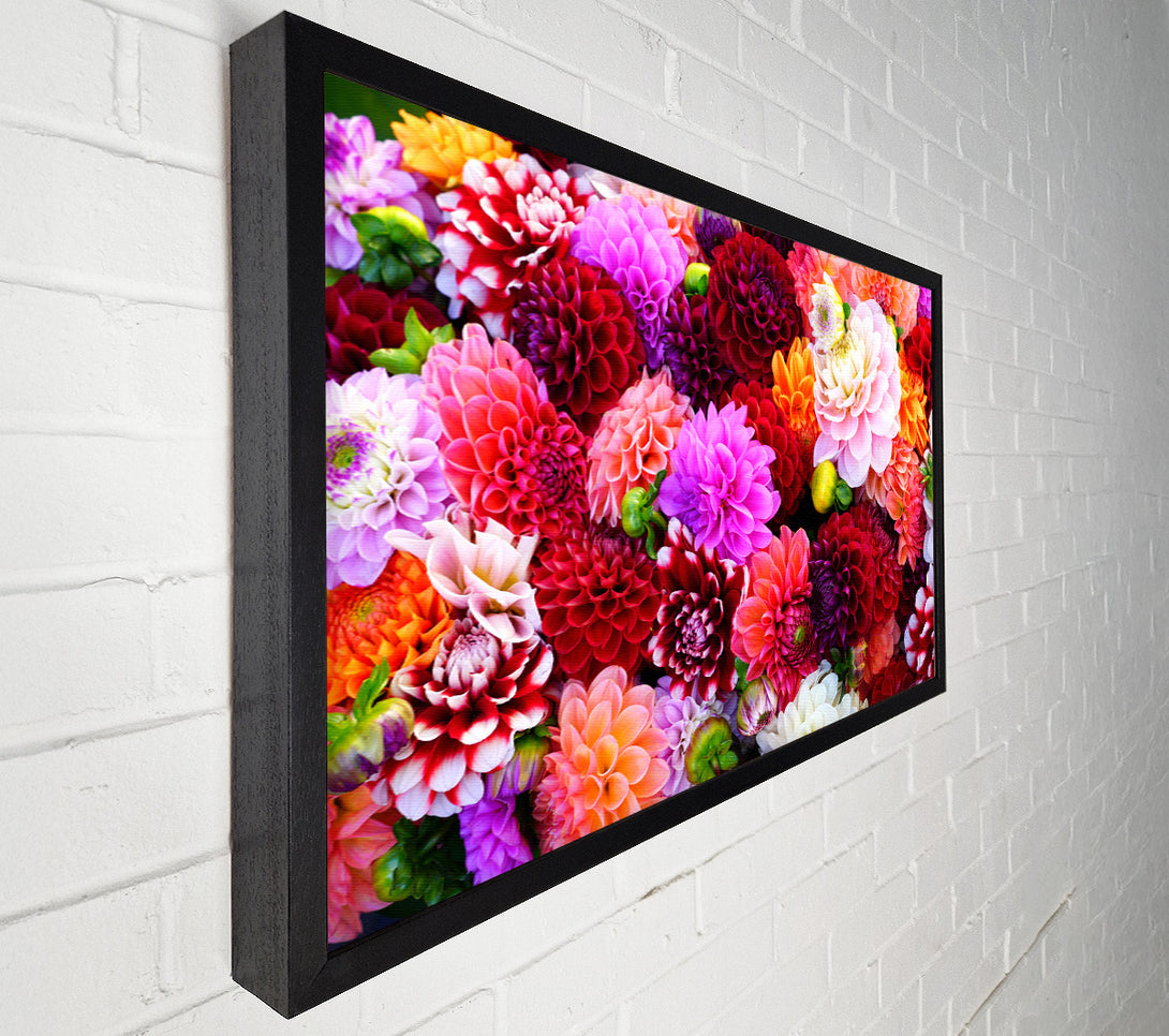  A Canvas Print of Huge Flower Explosion Canvas Print