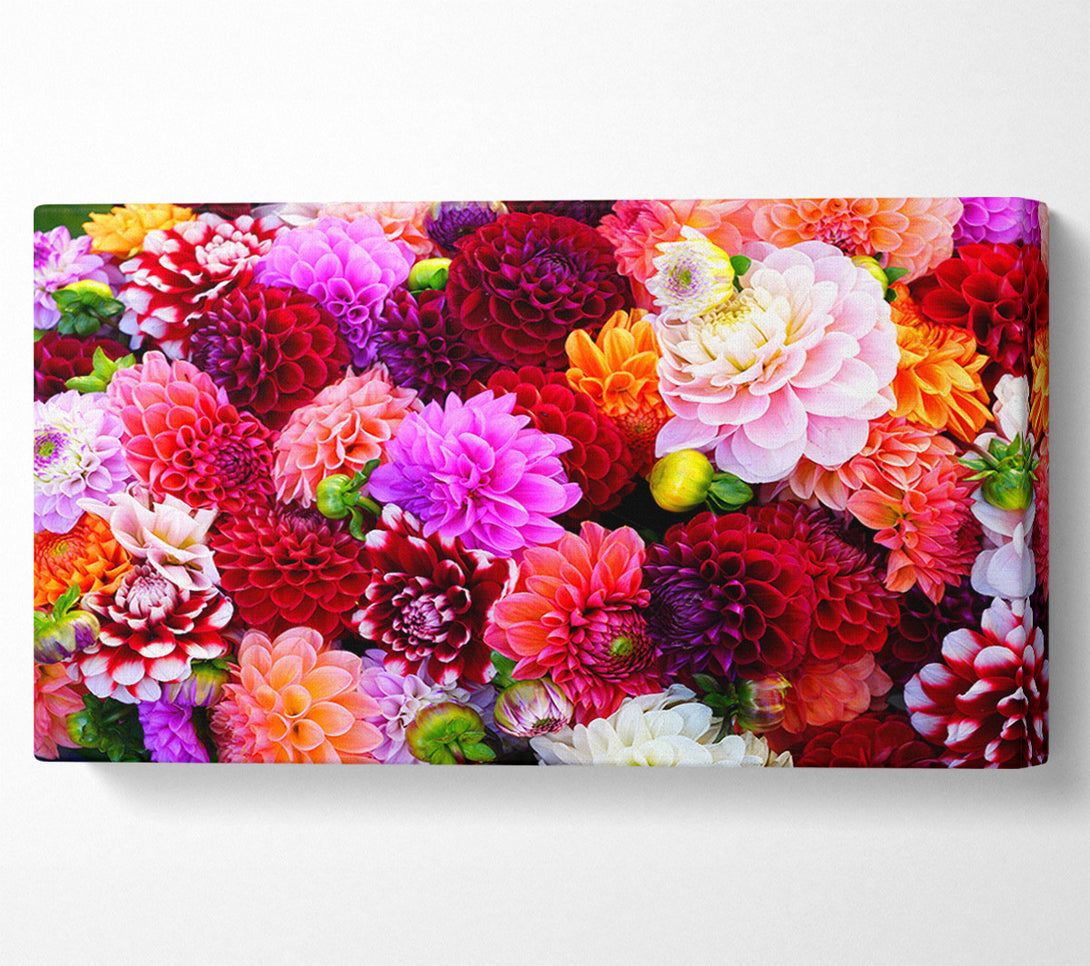  A Canvas Print of Huge Flower Explosion Canvas Print