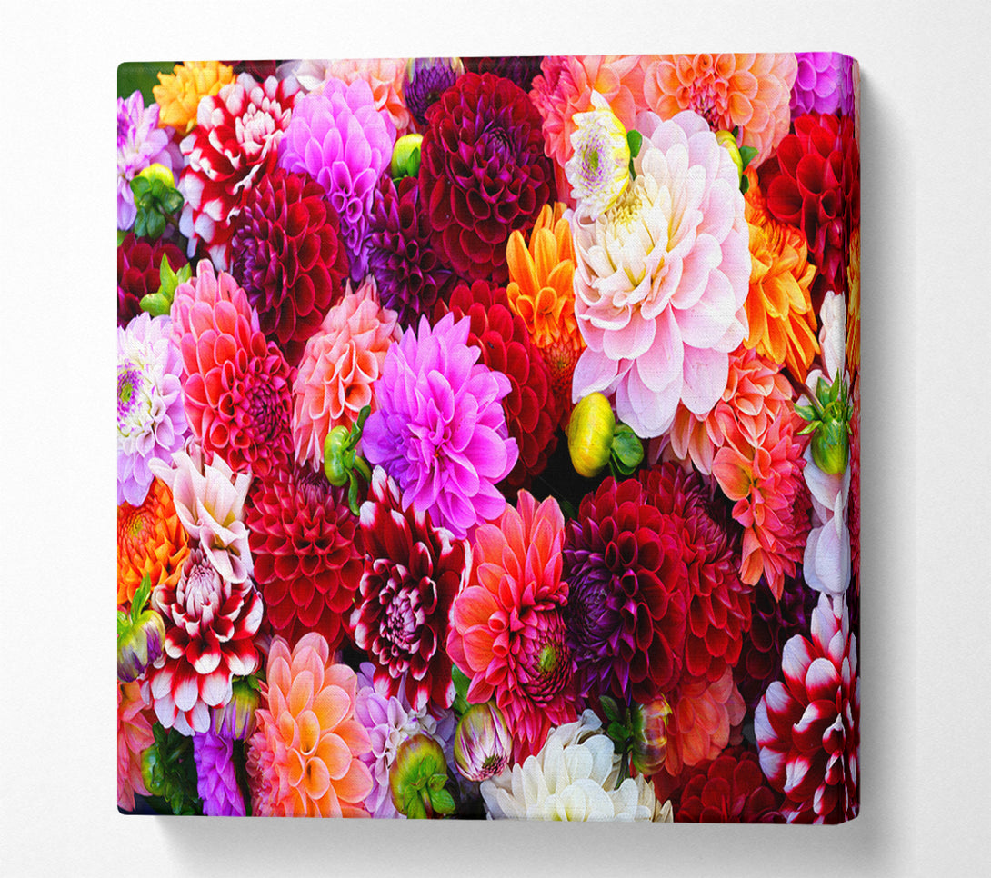  A Canvas Print of Huge Flower Explosion Canvas Print