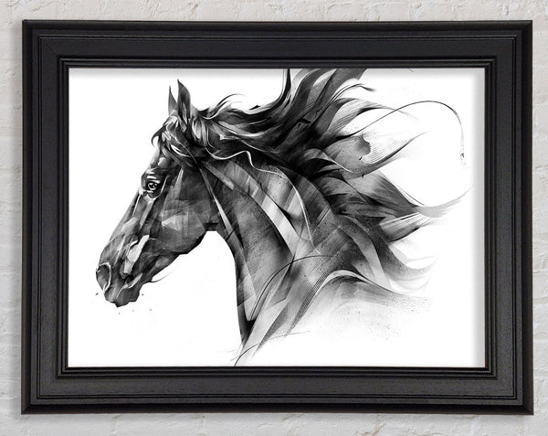 Horse Galloping Head Framed Print