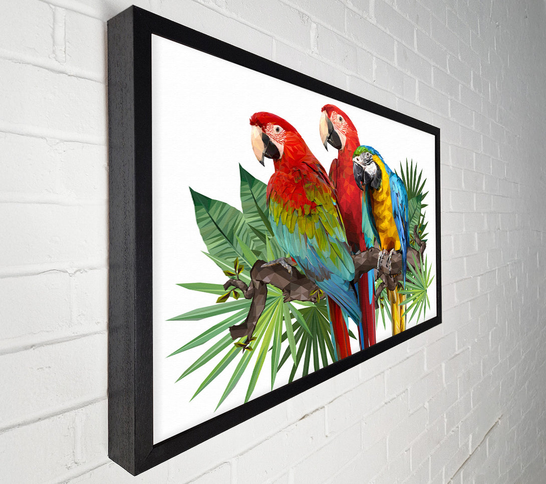  A Canvas Print of Three Parrots On A Branch Canvas Art