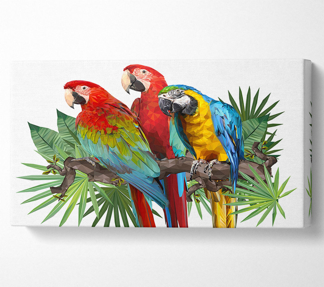  A Canvas Print of Three Parrots On A Branch Canvas Art