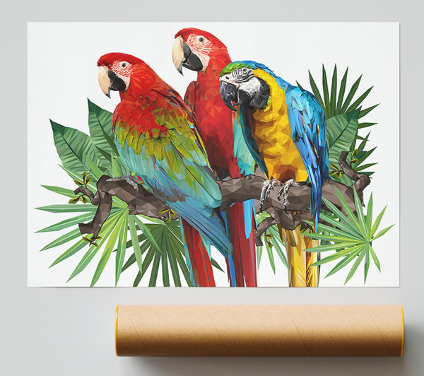 Three Parrots On A Branch Giclee Print