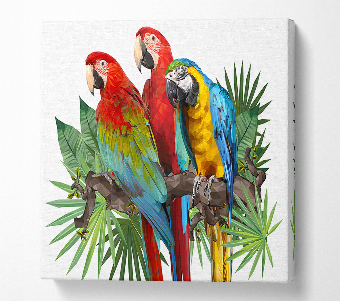  A Canvas Print of Three Parrots On A Branch Canvas Art