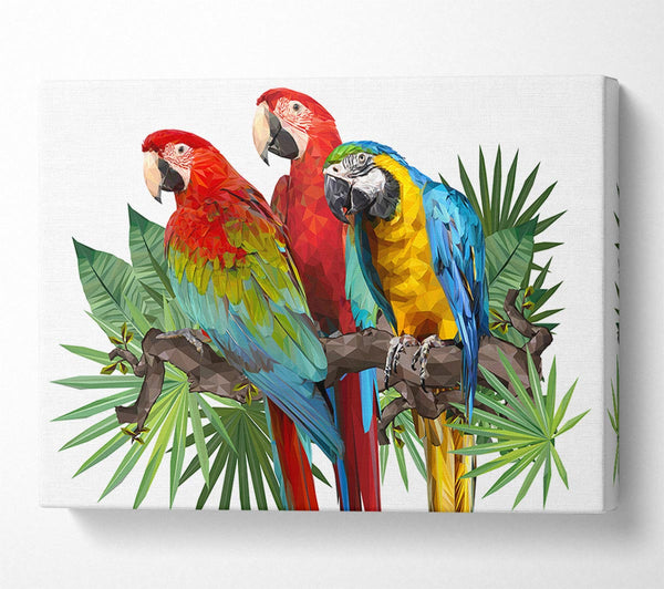  A Canvas Print of Three Parrots On A Branch Canvas Art
