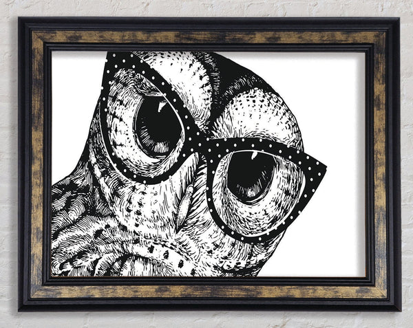 The Smart Owl Framed Print