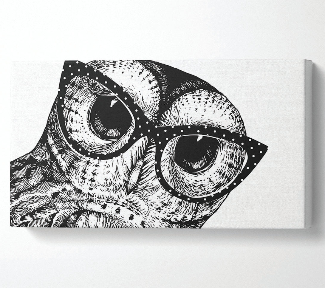  A Canvas Print of The Smart Owl Canvas Wall Art