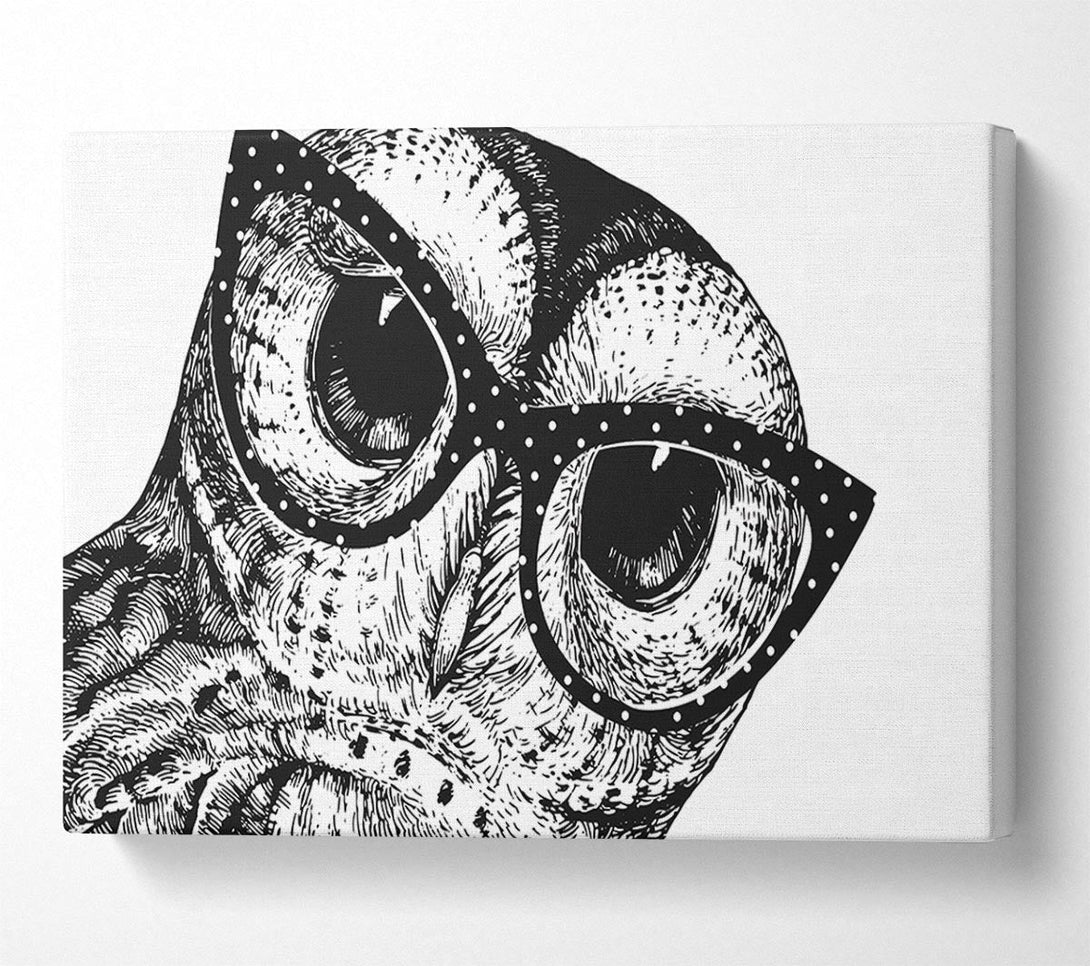  A Canvas Print of The Smart Owl Canvas Wall Art