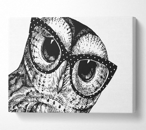  A Canvas Print of The Smart Owl Canvas Wall Art