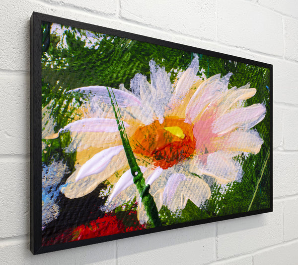 Painted Daisy