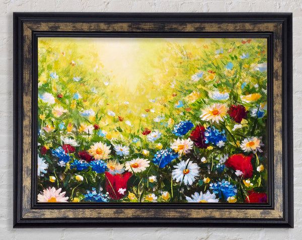 The Flower Spectrum Of Summer Framed Print