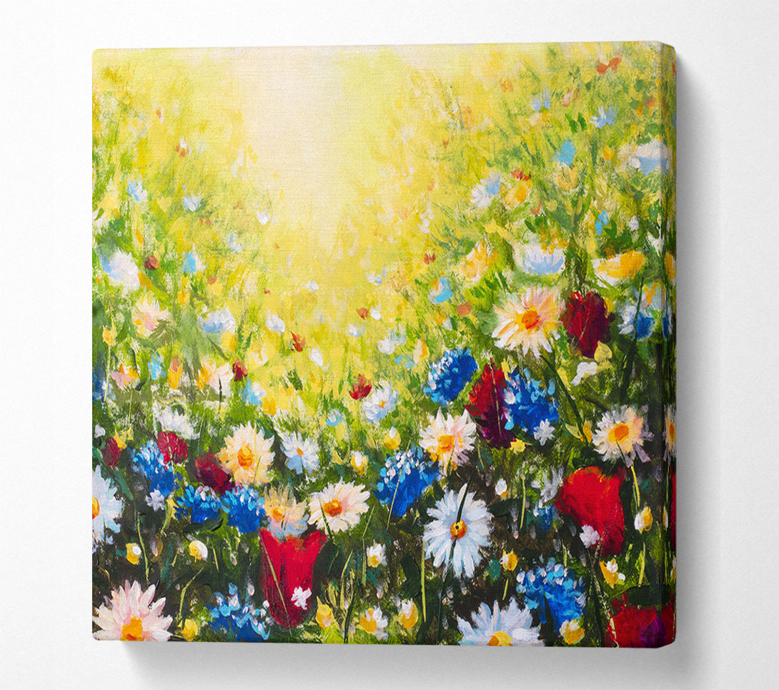  A Canvas Print of The Flower Spectrum Of Summer Canvas Print