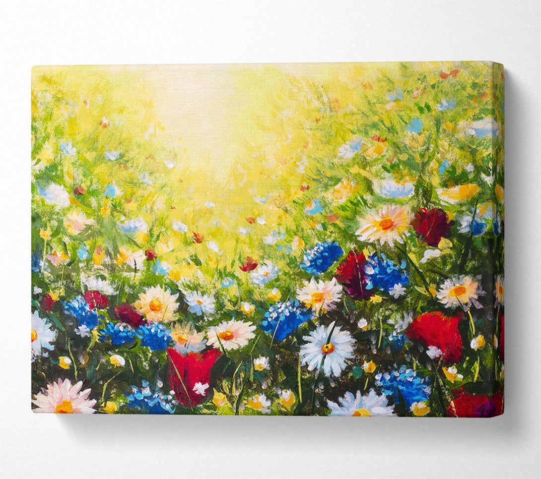  A Canvas Print of The Flower Spectrum Of Summer Canvas Print