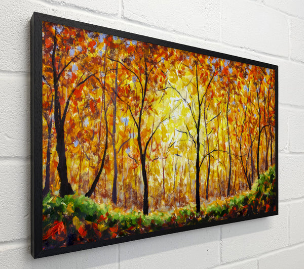 Summertime Forest