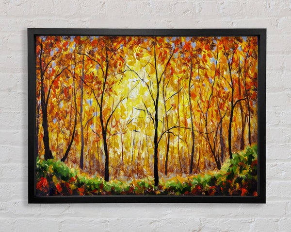 Summertime Forest Framed Print