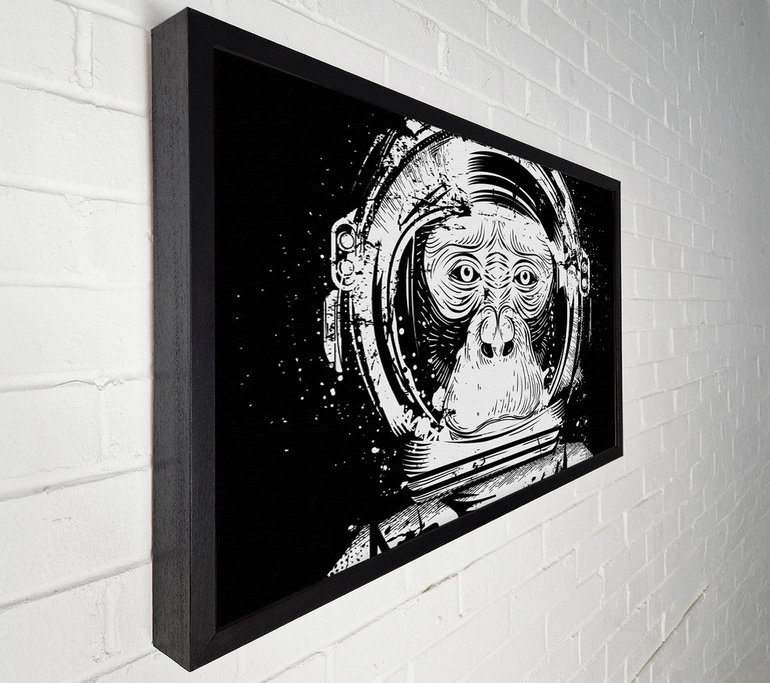  A Canvas Print of Space Monkey Canvas Wall Art