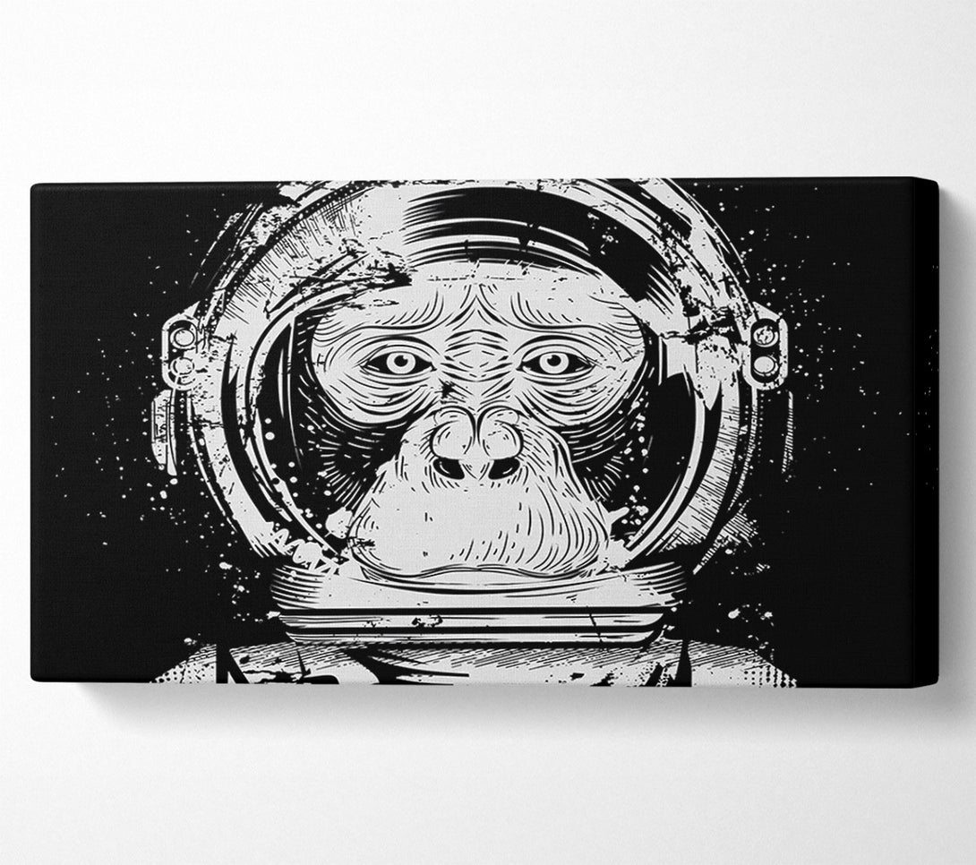  A Canvas Print of Space Monkey Canvas Wall Art