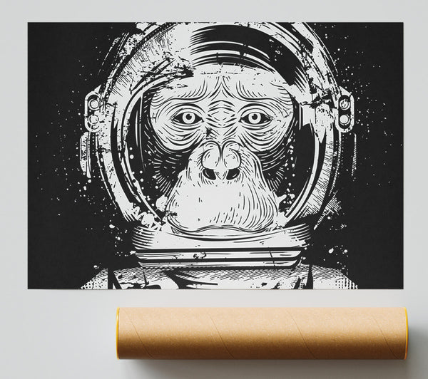 Space Monkey Poster