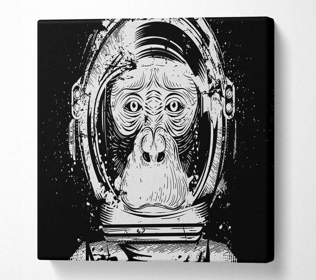  A Canvas Print of Space Monkey Canvas Wall Art