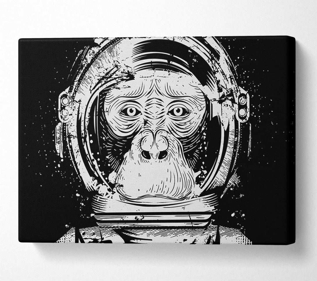  A Canvas Print of Space Monkey Canvas Wall Art
