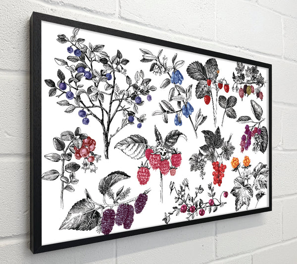 Collage Of Flowers And Berries