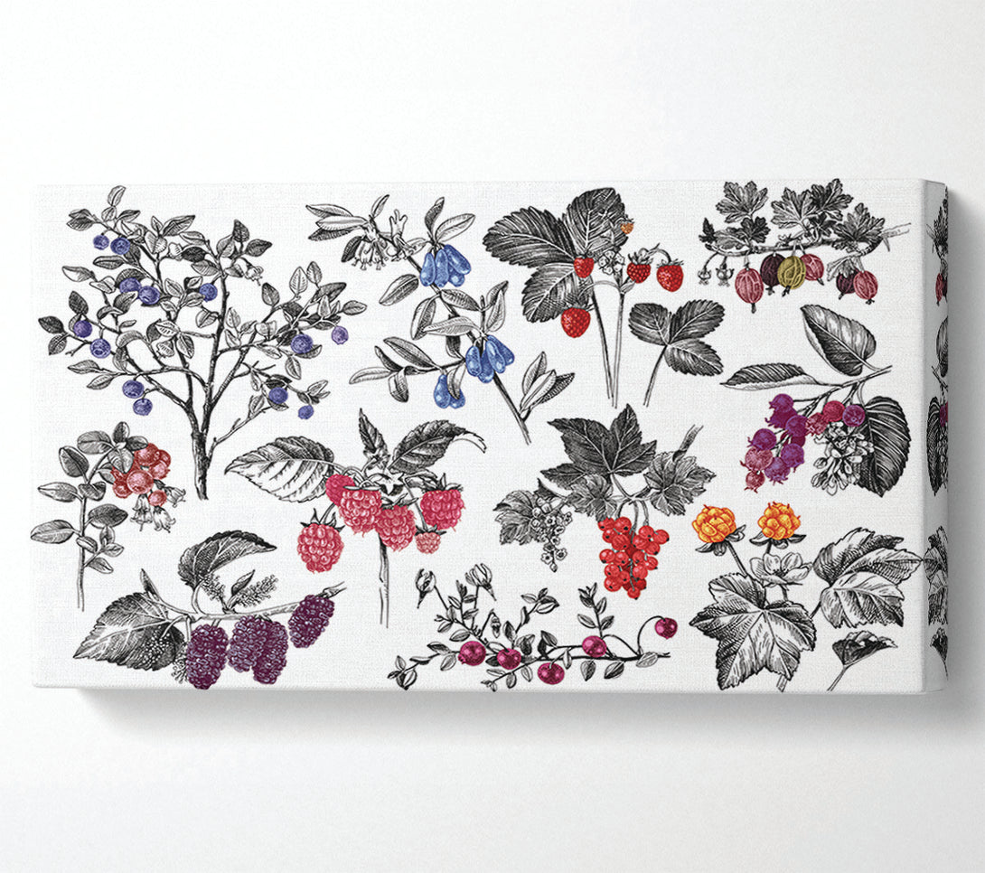  A Canvas Print of Collage Of Flowers And Berries Canvas Wall Art