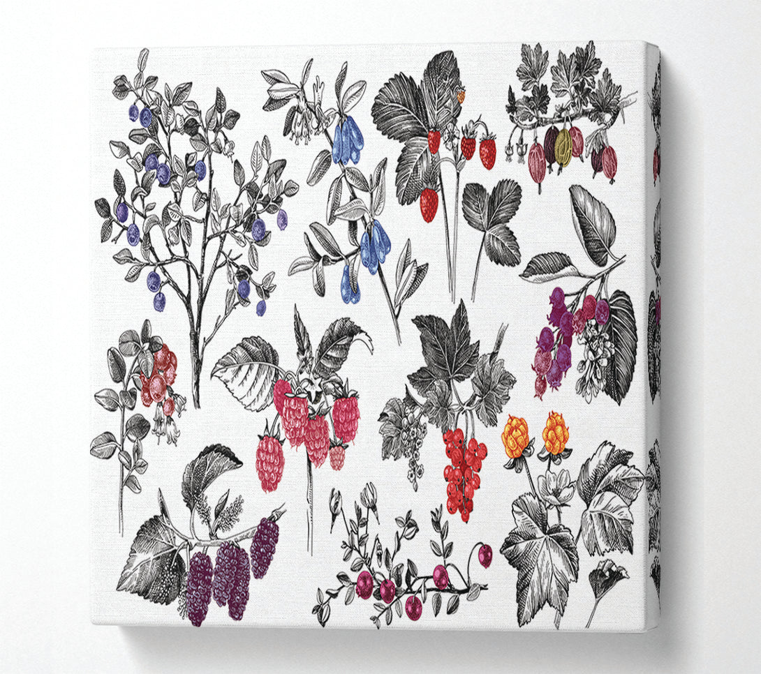 A Canvas Print of Collage Of Flowers And Berries Canvas Wall Art
