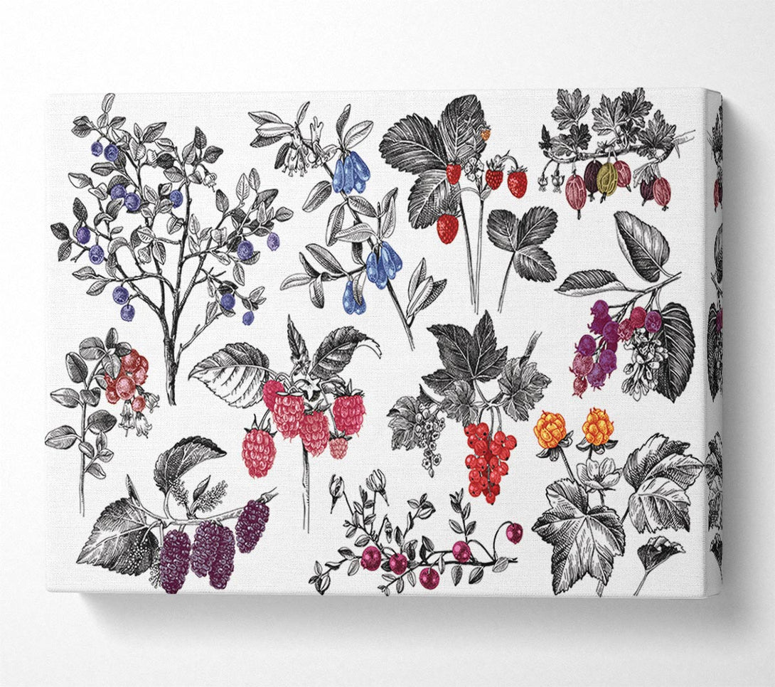  A Canvas Print of Collage Of Flowers And Berries Canvas Wall Art