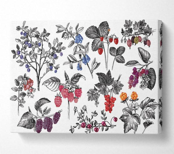  A Canvas Print of Collage Of Flowers And Berries Canvas Wall Art