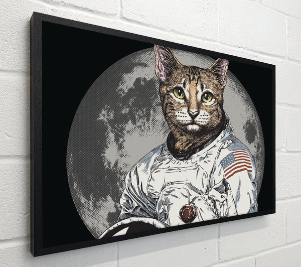 Cat Astronaut